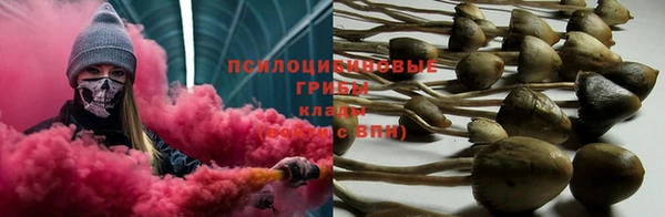 твердый Алзамай
