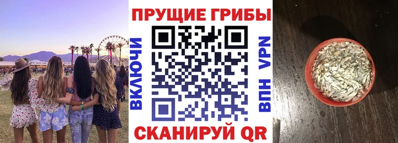 shop Telegram  купить наркотик  Черноголовка  Галлюциногенные грибы мицелий 