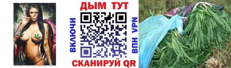 Бошки Шишки планчик  купить наркотик  Черноголовка 